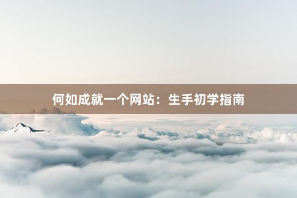 何如成就一个网站：生手初学指南